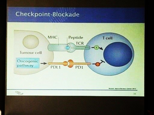 Checkpoint-Blockade