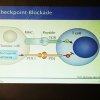 Checkpoint-Blockade