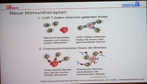 Neue Immuntherapien