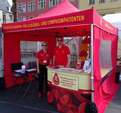 Unser Pavillon steht, es kann losgehen