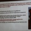 Methadon, dass neben den Schmerzen auch den Tumor vertreibt?